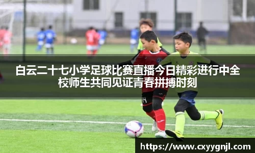 谈球吧在线APP