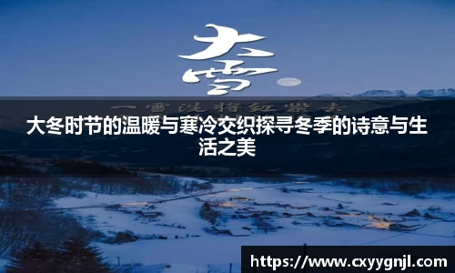 大冬时节的温暖与寒冷交织探寻冬季的诗意与生活之美