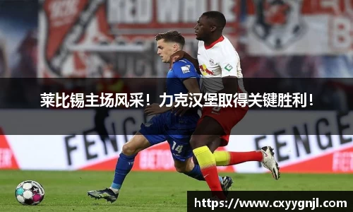 莱比锡主场风采！力克汉堡取得关键胜利！
